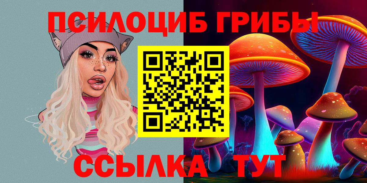 Галлюциногенные грибы Psilocybe  Вход с VPN  Богданович 