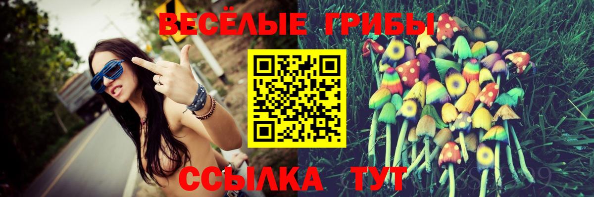 Псилоцибиновые грибы Psilocybine cubensis Богданович